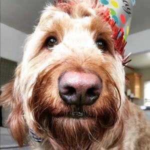 Meet your Posher, Mike